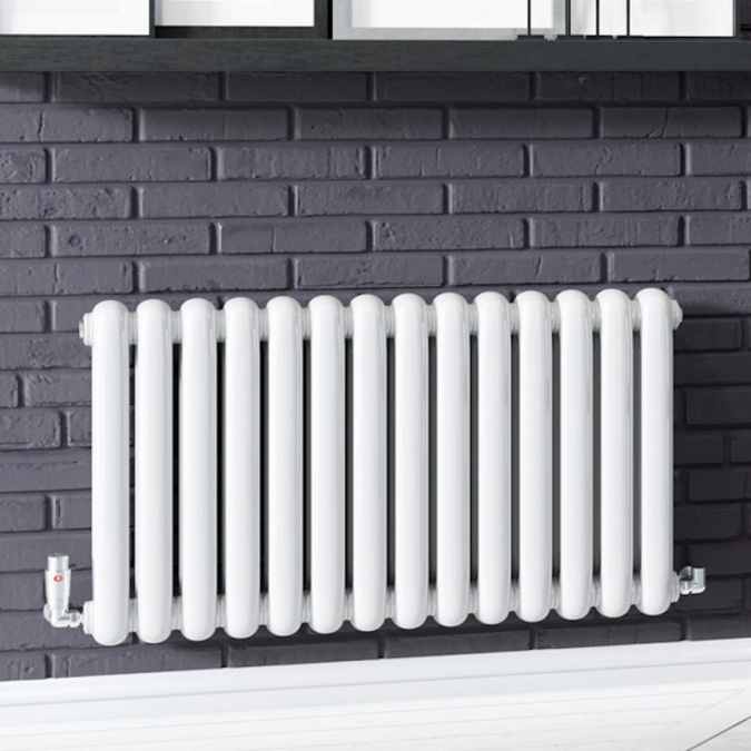 Cassius 550 x 785mm Designer Radiator White - DQ Heating