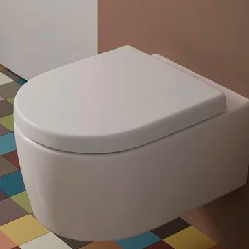 D Shape Toilet Seats