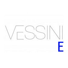 Vessini E Wetroom Screens