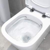 S50 Comfort Raised Height Close Coupled Back to Wall Toilet - VitrA