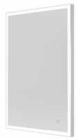 Tate Light Rectangular Mirror 60 Polished - 60x80cm - Origins Living