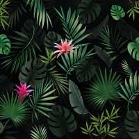 Bromelia - Showerwall Acrylic