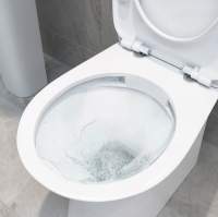 Appleyard Rimless Closed Coupled Fully Shrouded Toilet & Soft Close Seat