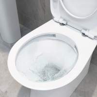 RAK Feeling Matt Grey Rimless Back To Wall Toilet & Soft Close Seat