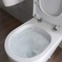 Feeling Matt White Wall Hung Rimless WC inc Soft Close Seat - RAK Ceramics