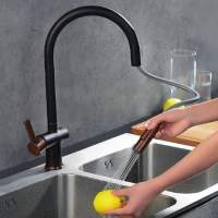 Jeroni Swan 2 Handle Matt Black Kitchen Mixer Tap - Francis Pegler Comap