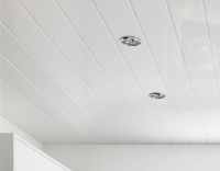 Neptune 250 - White Chrome Strip - PVC Plastic Wall & Ceiling Cladding - 2.6m - 4 Pack