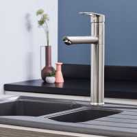  Foglia Monobloc Kitchen Mixer Tap - Brushed Nickel - Signature Series