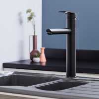 Elera Monobloc Kitchen Sink Mixer Tap - Brushed Nickel