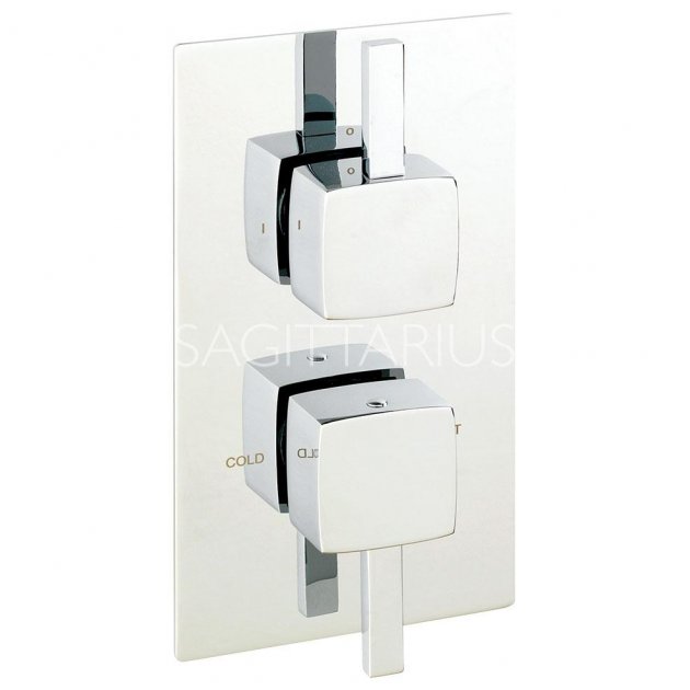 Sagittarius Axis Concealed Thermostatic Valve 2 Way Diverter